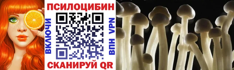наркотики  Спас-Деменск  shop Telegram  Псилоцибиновые грибы мицелий 
